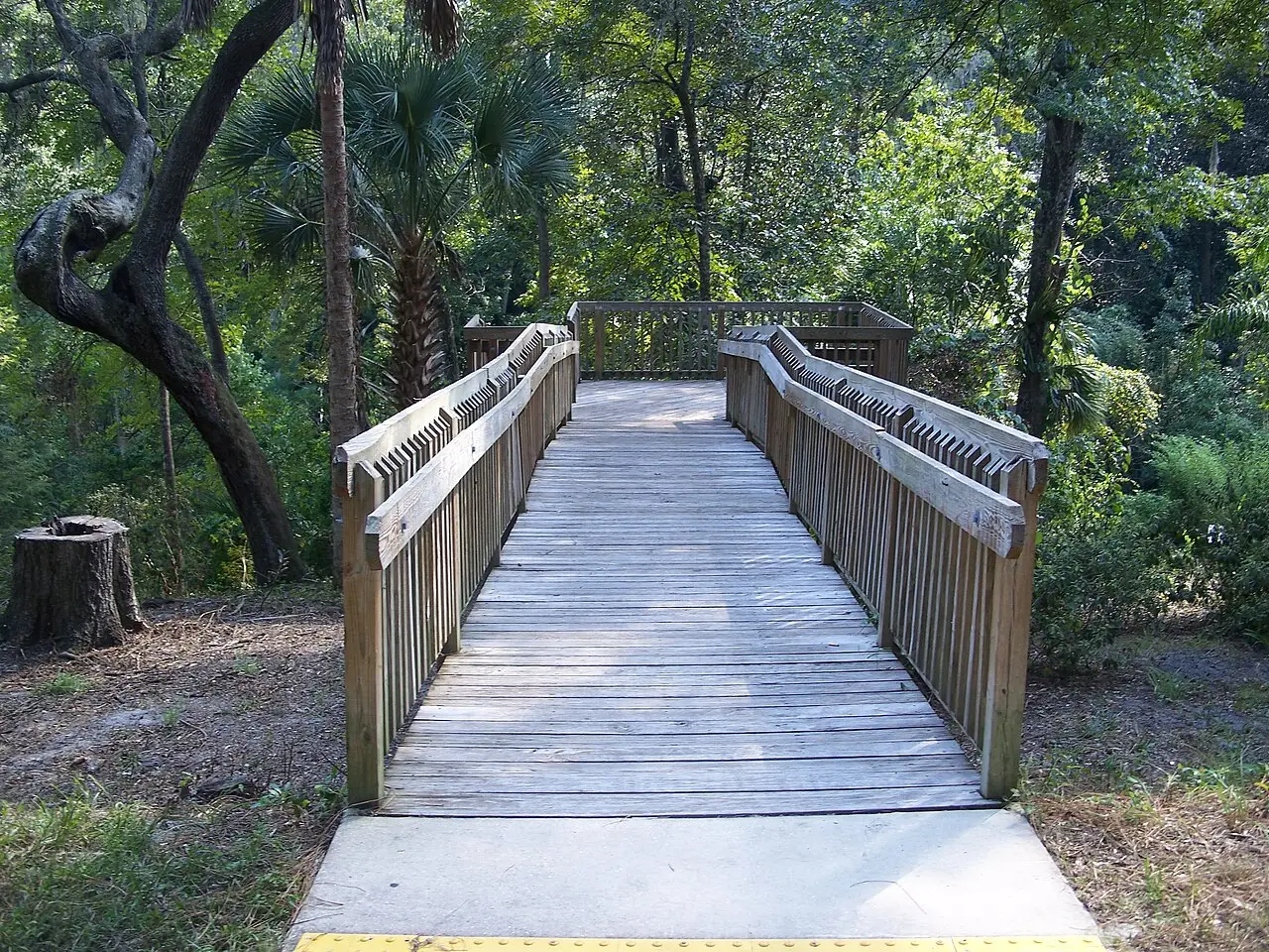 Ravine Gardens State Park in Palatka, Florida